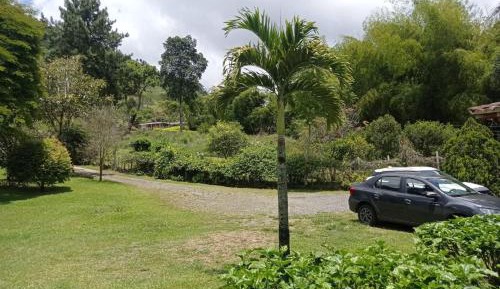 Large Double or Twin Room