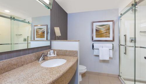 Wellness King Room