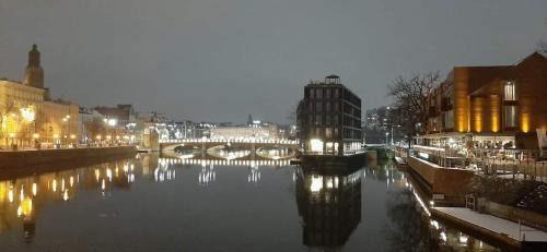 Executive Suite with River View