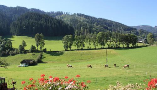 Family Room with Terrace