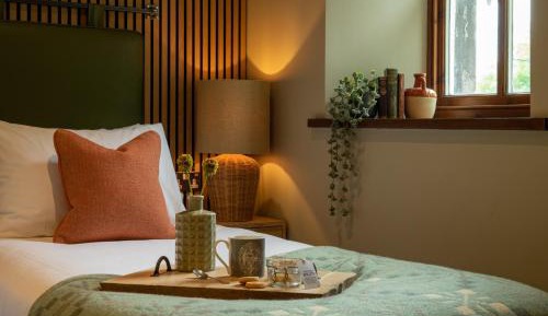 Cozy Double or Twin Room