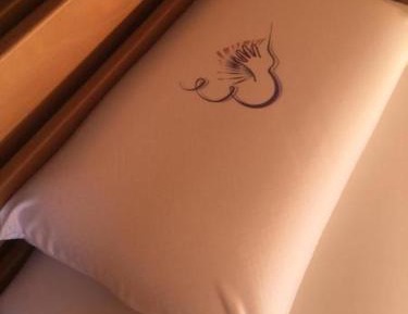 4-Bed Mixed Dormitory Room