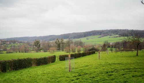 King Room with Garden View