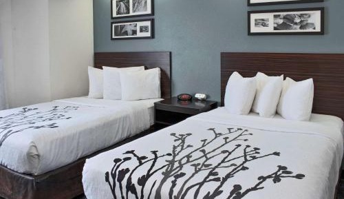 Double Room with Two Double Beds - Non-Smoking