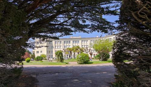 Studio with Garden View