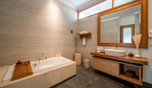 Deluxe Double or Twin Room with River View
