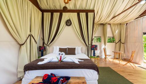 Deluxe Double or Twin Room with River View