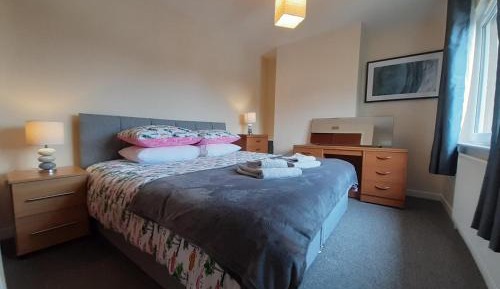 Standard Apartment