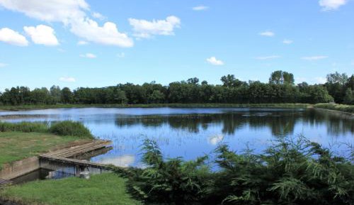 Studio with Lake View