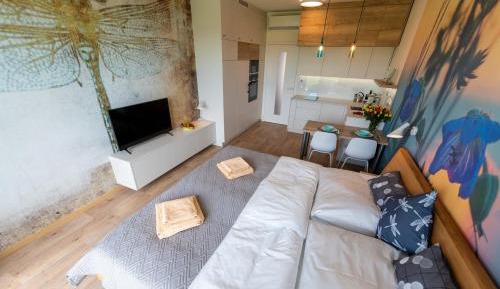 Apartment with Terrace