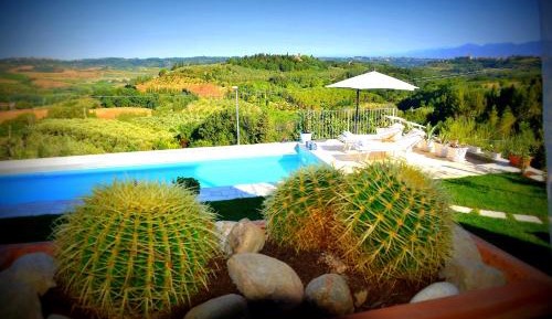Apartment with Terrace & Swimming Pool