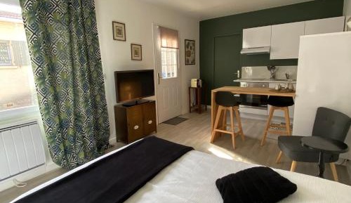 Studio Apartment