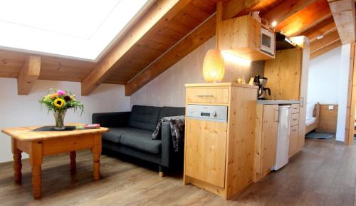 Apartment with Mountain View