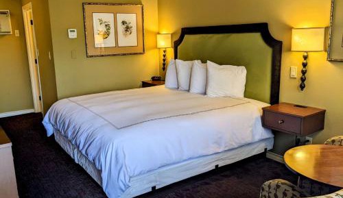 King Room - Pet-Friendly