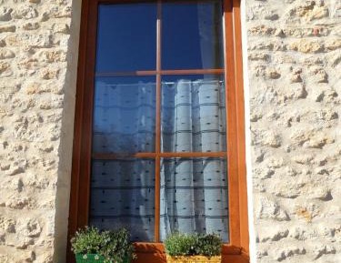 Apartment with Garden View