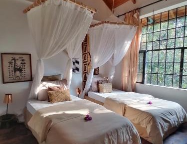 Luxury Twin Room