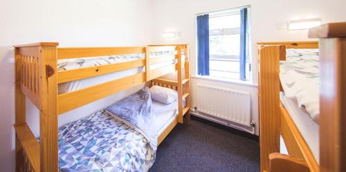 Bed in 4-Bed Mixed Dormitory Room