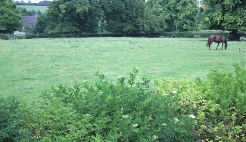 Single Room with Shared Bathroom