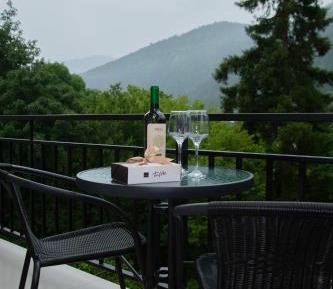 Double Room with Mountain View