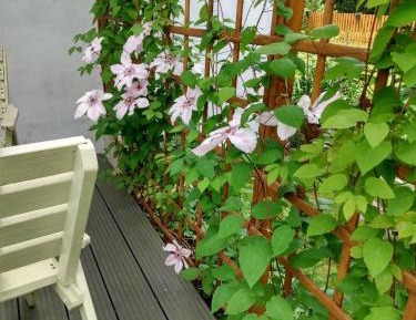 Apartment with Terrace