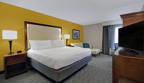 Standard King Room with River View