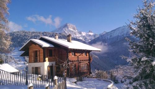 Five-Bedroom Chalet with Garden