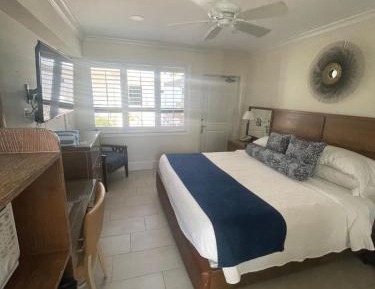 King Room with Garden View