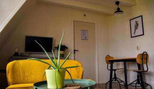 One-Bedroom Apartment with View