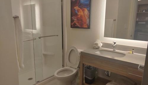 One-Bedroom King Suite