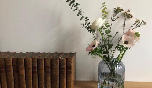 Apartment with Shower