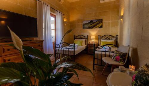 Double Room with Shared Bathroom