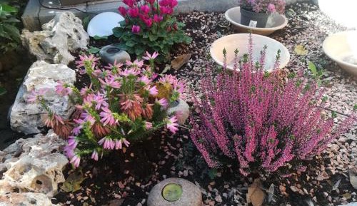 Deluxe Single Room with Balcony