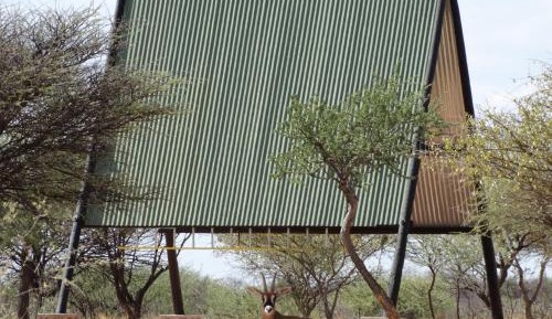 Basic Tent - Bring own bedding