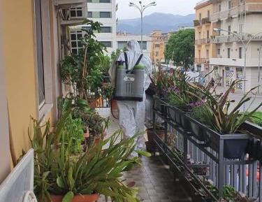 Deluxe Double or Twin Room with Balcony