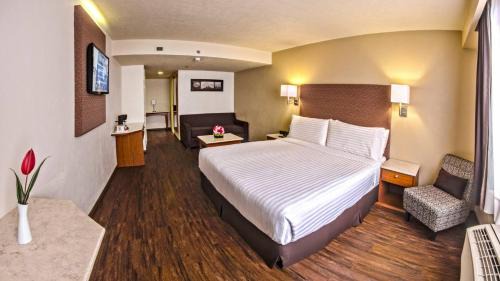 Premium King Room
