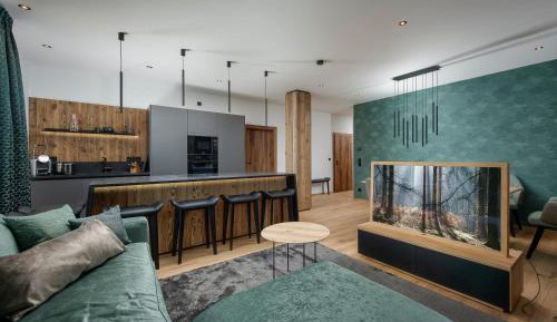 Apartment with Terrace