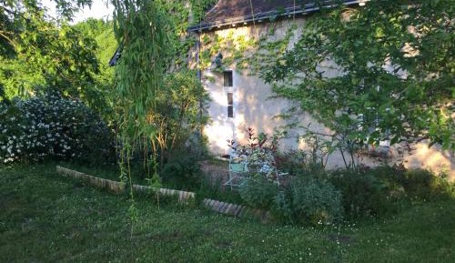 Family Room with Garden View