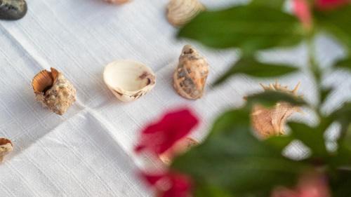 Deluxe Double Room with Balcony and Sea View