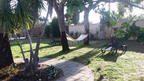 King Room with Garden View