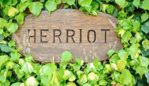 Cottage with Garden View