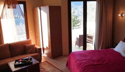 Junior Suite with Fireplace and Forest View