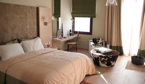 Deluxe Double Room with Fireplace and Forest View