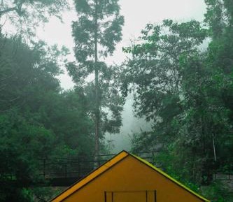 Wonderful Tent