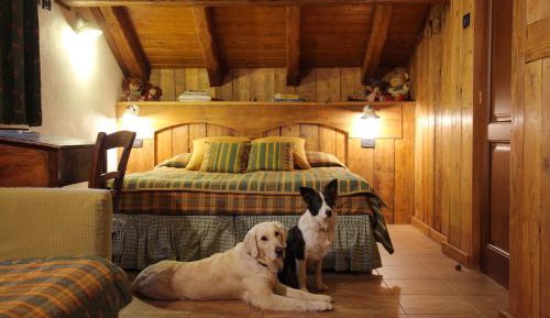 Comfort Quadruple Room