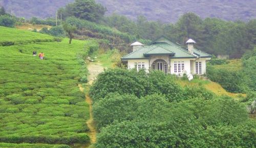 Deluxe Bungalow with Garden View