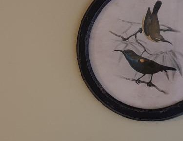 Single Room with Shower