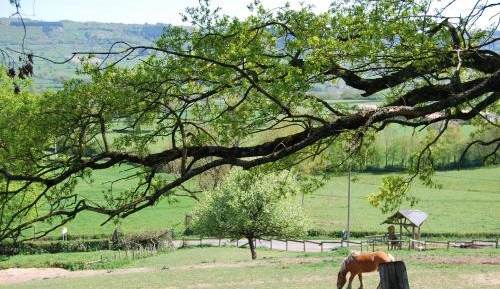 Bungalow with Garden View
