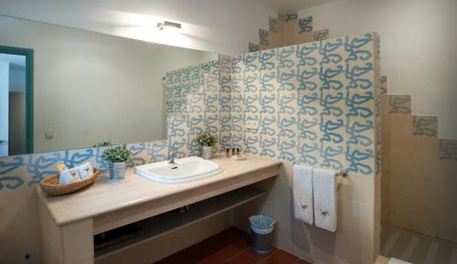 Double Room with Access to the Spa