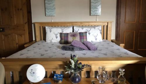 King Room with Private Bathroom