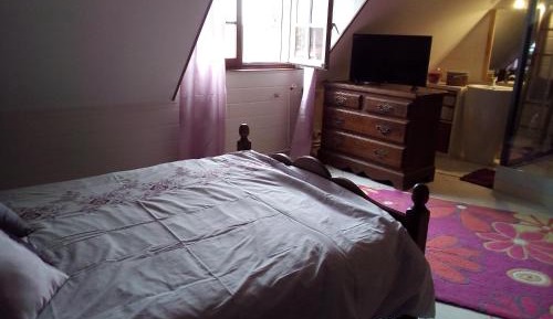Deluxe Double Room with Shower